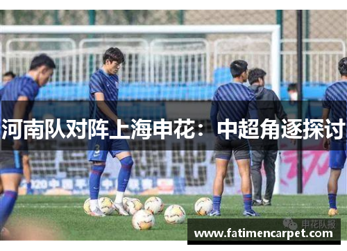 河南队对阵上海申花：中超角逐探讨