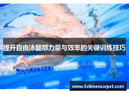 提升自由泳腿部力量与效率的关键训练技巧